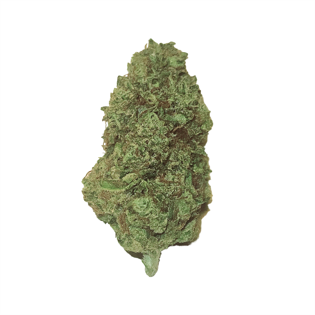Jet Fuel